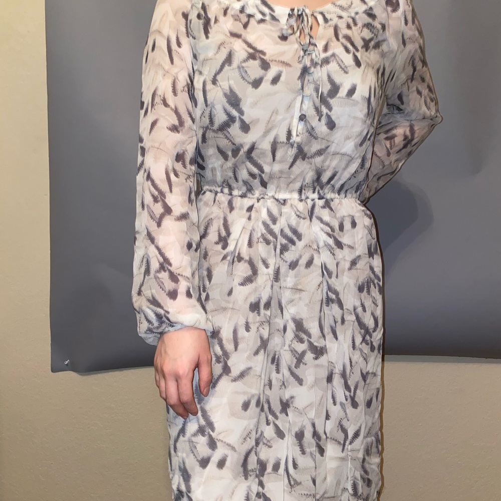 Club Monaco Silk Sheer chiffon Taupe Dress + Slip